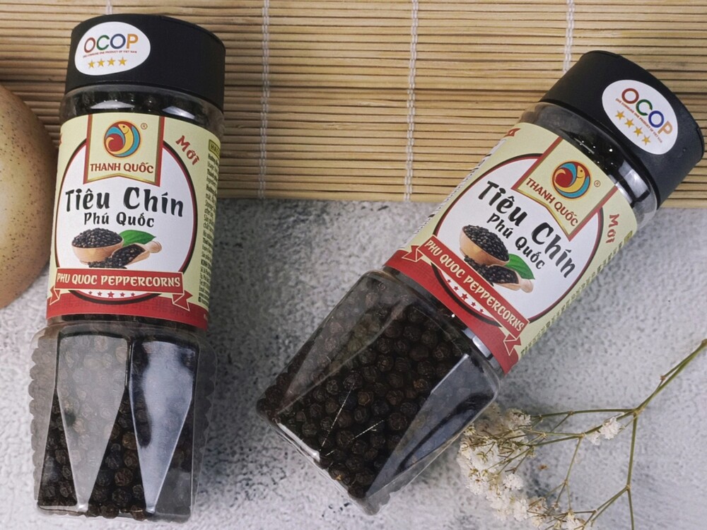 Giới Thiệu
